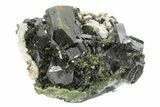 Lustrous Epidote Crystals on Actinolite - Pakistan #213455-1